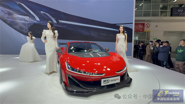 精彩不断！2024北京车展重磅新车配套轮胎盘点（二）(图23)