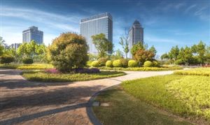 2024年中国轮胎市场深度调查研究报告(图2)