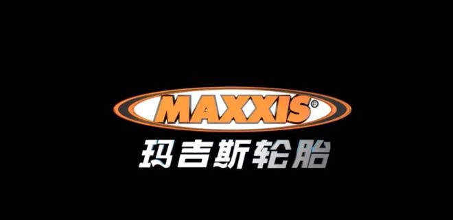 2024：中国汽车轮胎品牌及市值排行榜！(图4)
