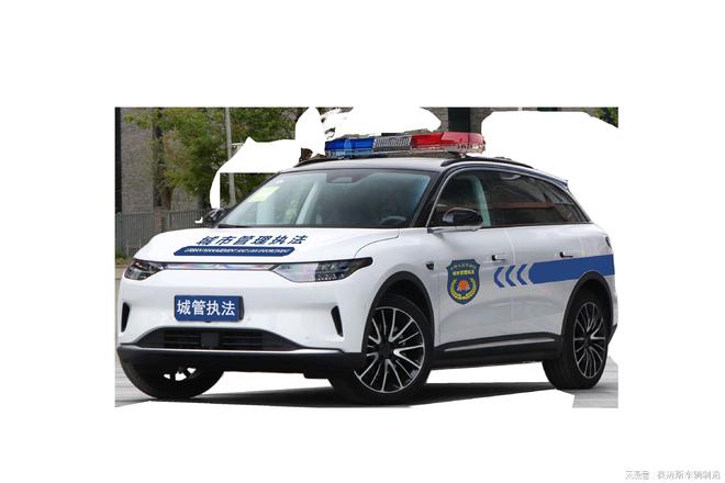 日常保养：保持电动巡逻车良好状态的基础(图2)