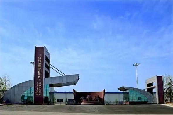 2024国产轮胎第一梯队谁能上榜？(图8)