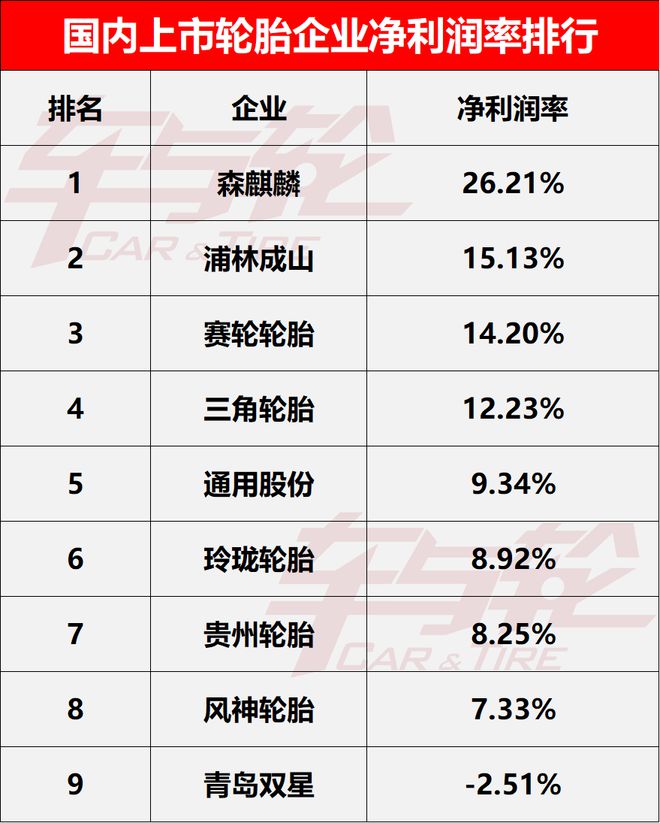 9大轮胎企业核心数据排行榜-2024(图6)