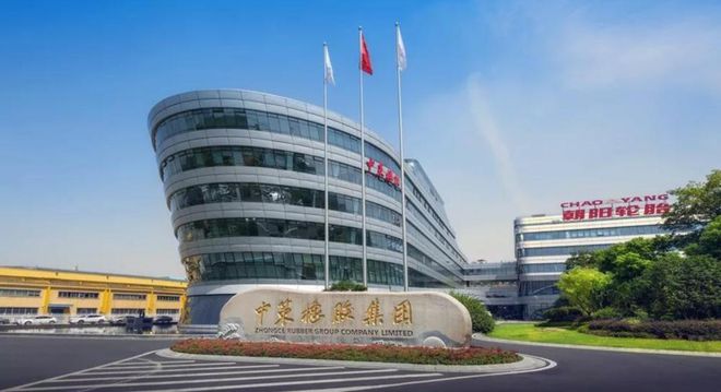 各国第一轮胎企业（2024）(图8)