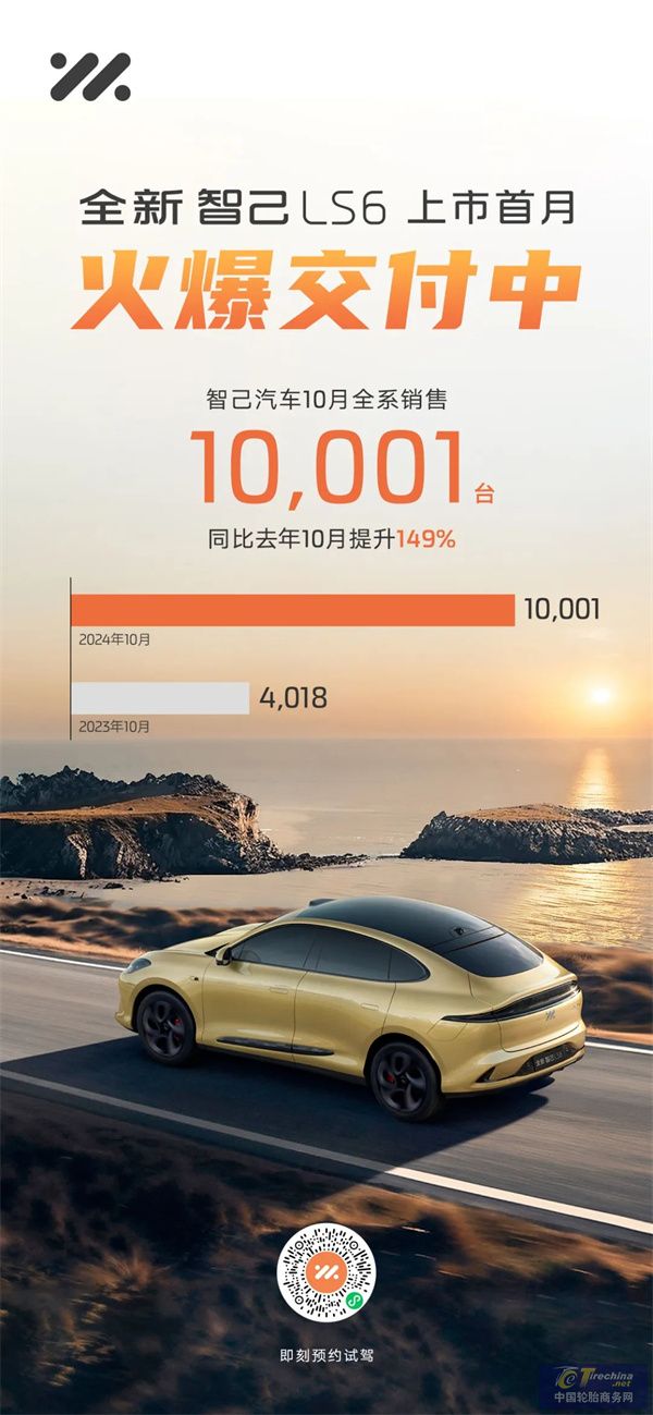 新能源车企10月销量集体爆发！(图13)