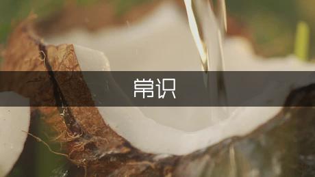 轮胎保养常识（模板9篇）(图1)
