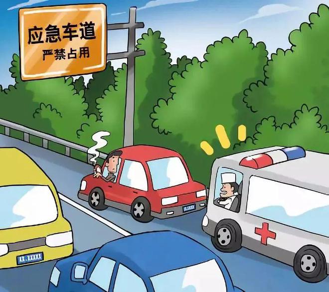 【高速公路行车安全知识】‖安全小常识预防道路交通事故技巧要点(图5)