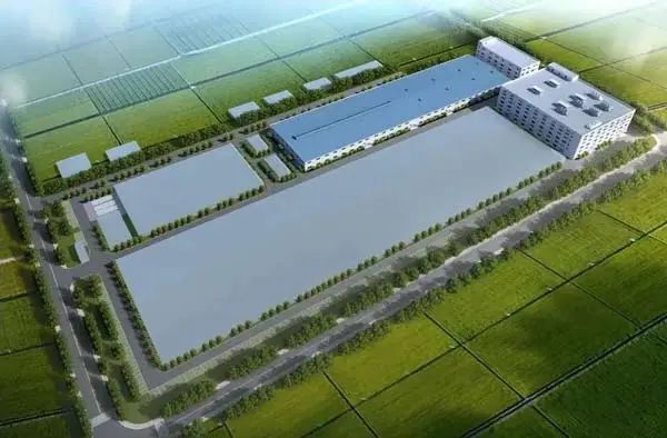 2024年上半年轮胎新项目盘点(图5)