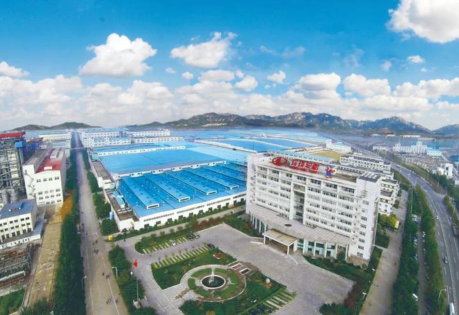 山东1800亿大计!哪家轮胎厂将独占鳌头?(图4)