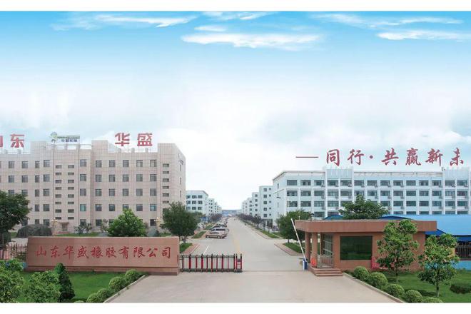 山东1800亿大计!哪家轮胎厂将独占鳌头?(图11)