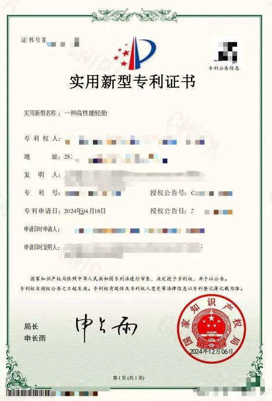 轮胎企业专利排行榜快看谁的研发最牛！(图2)