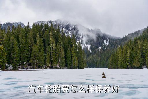 轮胎怎么保养轮胎保养怎么做(图2)