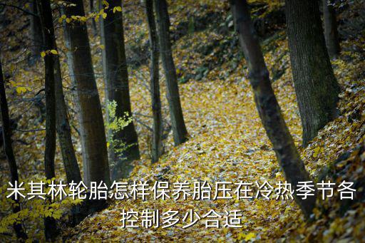 轮胎怎么保养轮胎保养怎么做(图3)