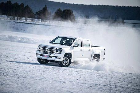 2024年皮卡市场全年销量微增出口和新能源是重点(图6)