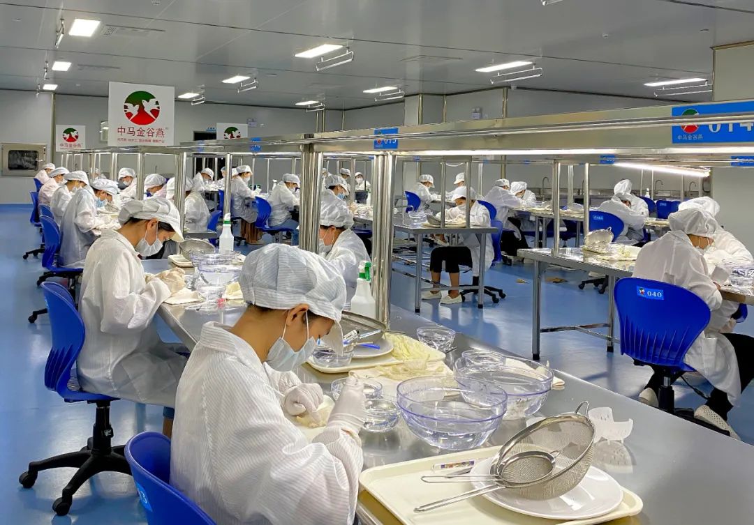 中马“两国双园”聚势合奏发展强音(图3)