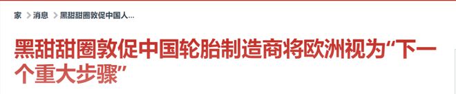 轮胎能“出口转内销”吗？(图3)