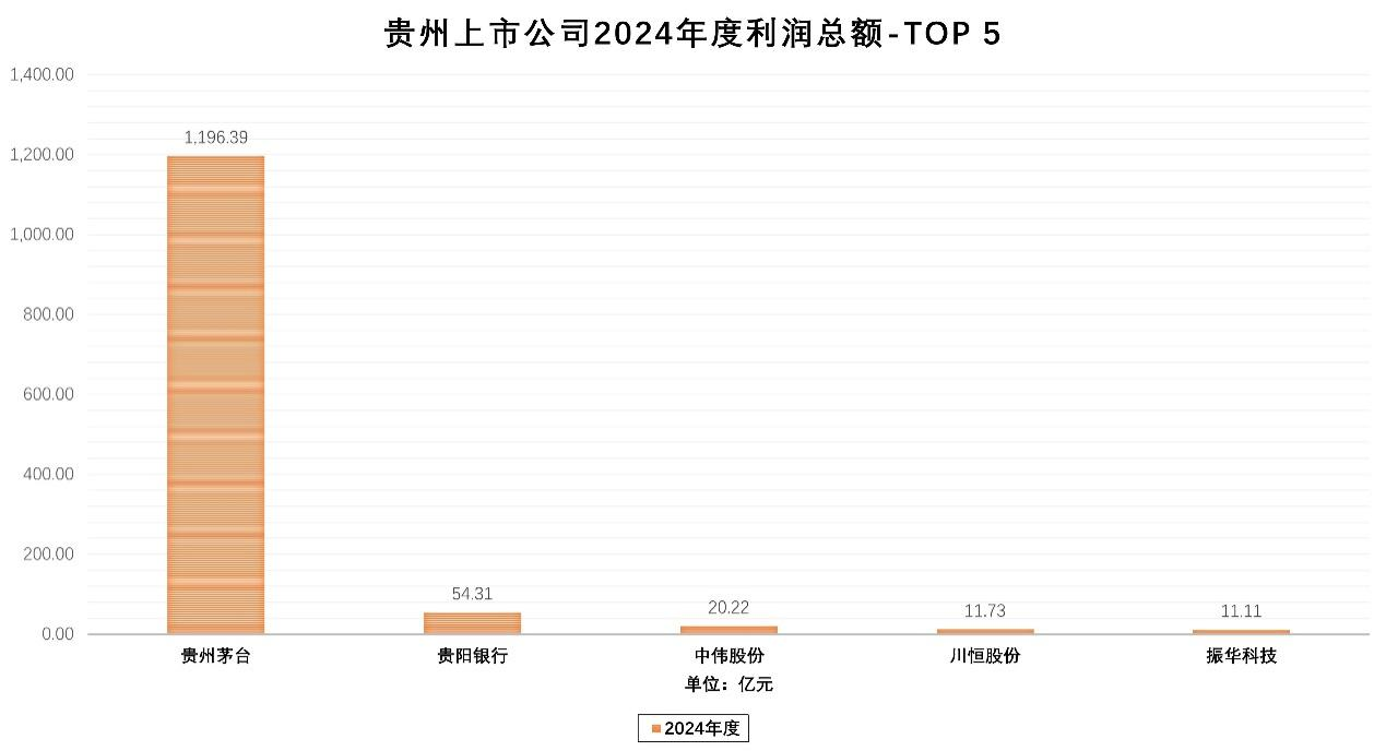 贵州上市公司2024年年度报告亮点纷呈(图5)