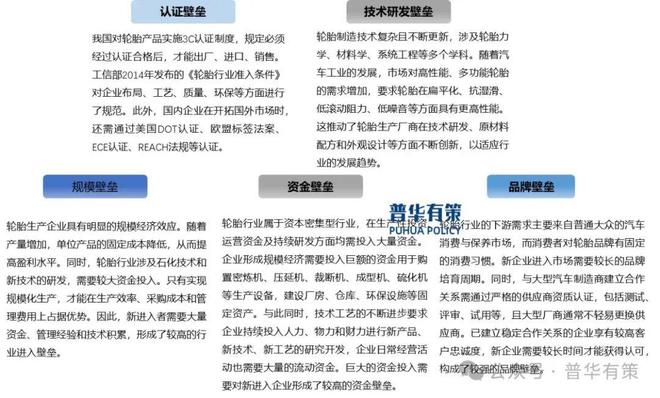 2025-2031年轮胎行业市场调研及发展趋势预测报告(图4)