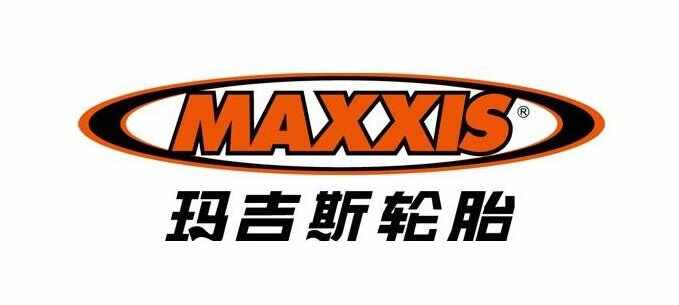 国产十大口碑最好轮胎中国品牌轮胎前十名(图4)