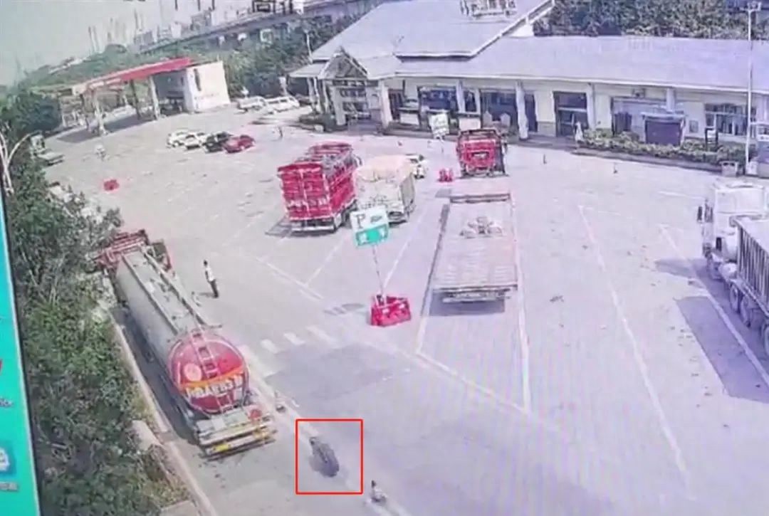 一轮胎在高速路上“狂奔”滚进服务区致人身亡重庆警方通报律师解读(图1)