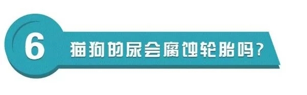 轮胎的养护攻略(图20)