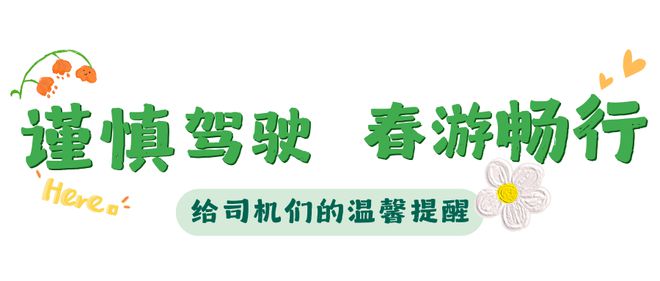 春游进行时带上交通安全“锦囊”再出发【荷交警小课堂】(图3)