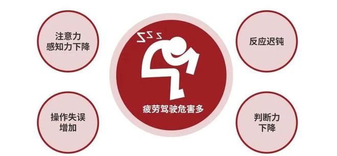 春游进行时带上交通安全“锦囊”再出发【荷交警小课堂】(图6)