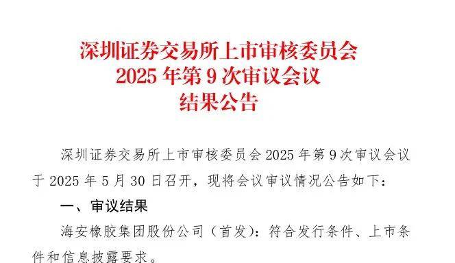 海安橡胶集团上市审核通过轮胎行业新动力即将启航！(图1)