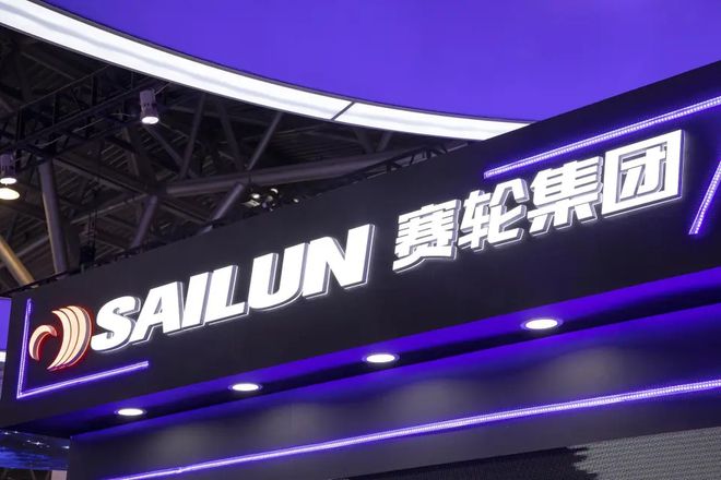 赛轮轮胎2024年净利润破40亿营收、利润双增(图2)