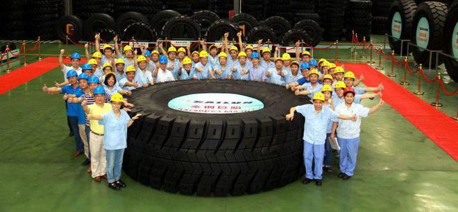 赛轮轮胎2024年净利润破40亿营收、利润双增(图6)