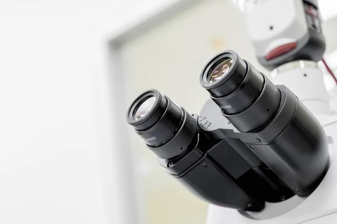 美国材料科学与工程硕士项目全攻略！Top院校偏爱什么背景的学生？(图11)