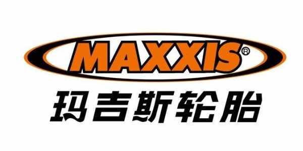 世界轮胎十大全球十大轮胎品牌排行榜(图8)