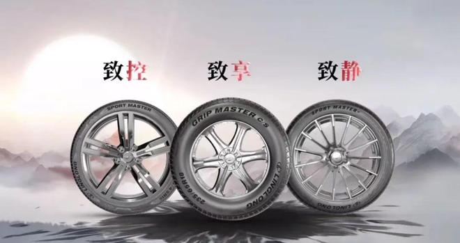 这些宝藏国货轮胎品牌你知道几个？(图3)
