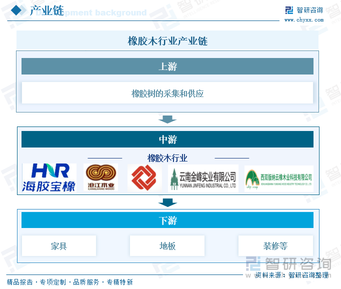 研判2025！中国橡胶木行业产业链、市场规模、进口数量和金额、竞争格局及发展趋势分析：受泰国持续暴雨影响1-5月进口产量同比下降133%[图](图3)