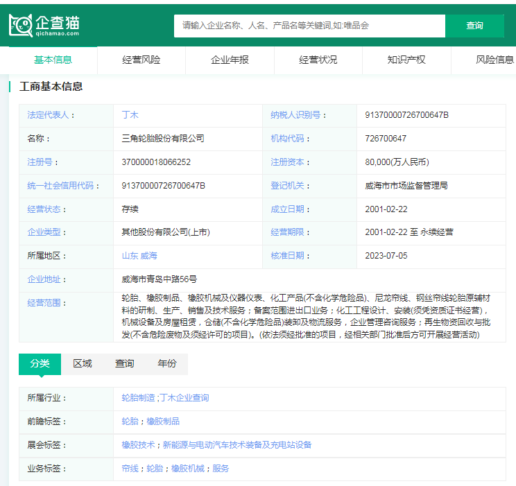 2024年中国十大轮胎企业一览:借新能源汽车东风中国品牌强势崛起(图11)