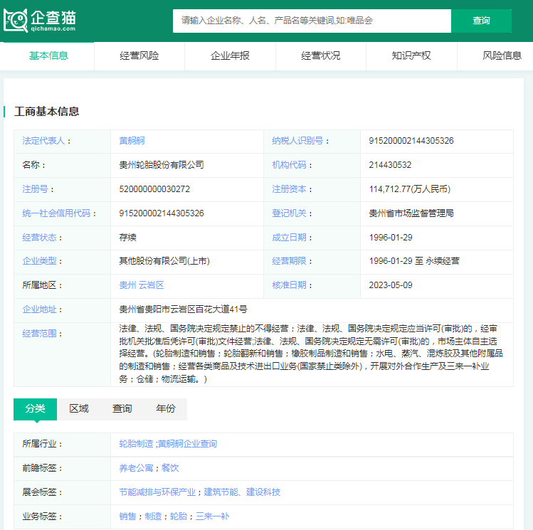 2024年中国十大轮胎企业一览:借新能源汽车东风中国品牌强势崛起(图10)