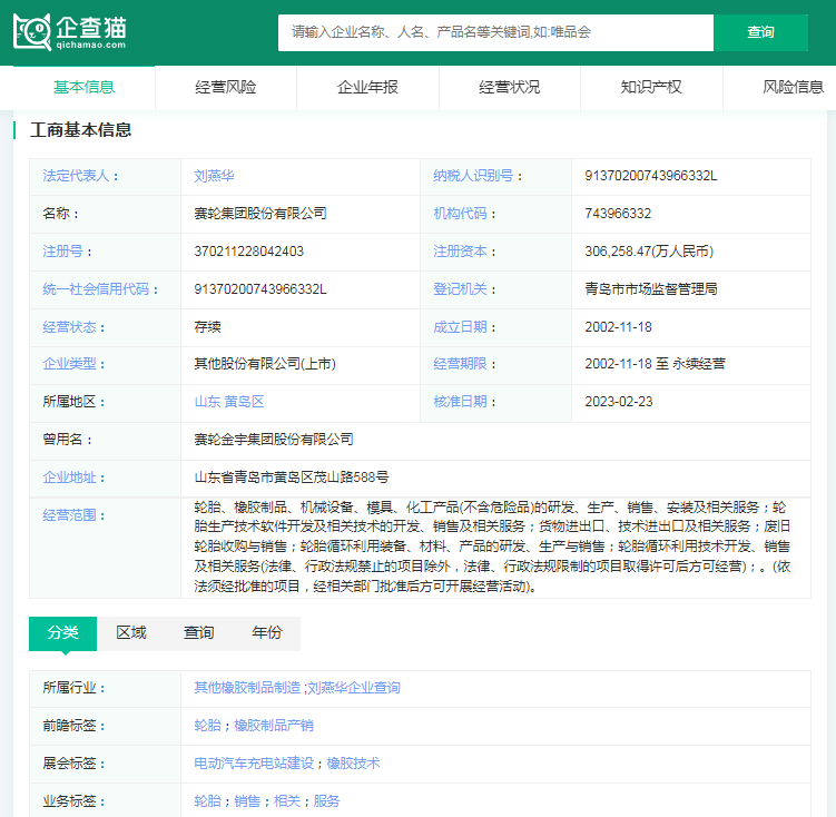 2024年中国十大轮胎企业一览:借新能源汽车东风中国品牌强势崛起(图3)