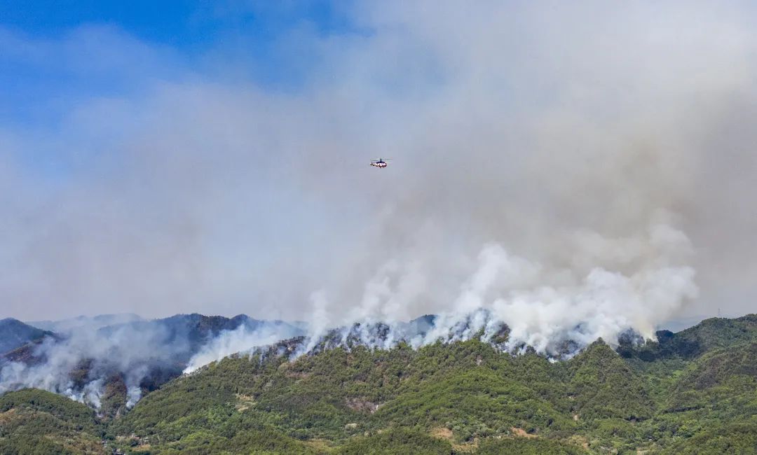 山城骑士战山火!民间志愿者搭起2公里物资接力传送带(图4)