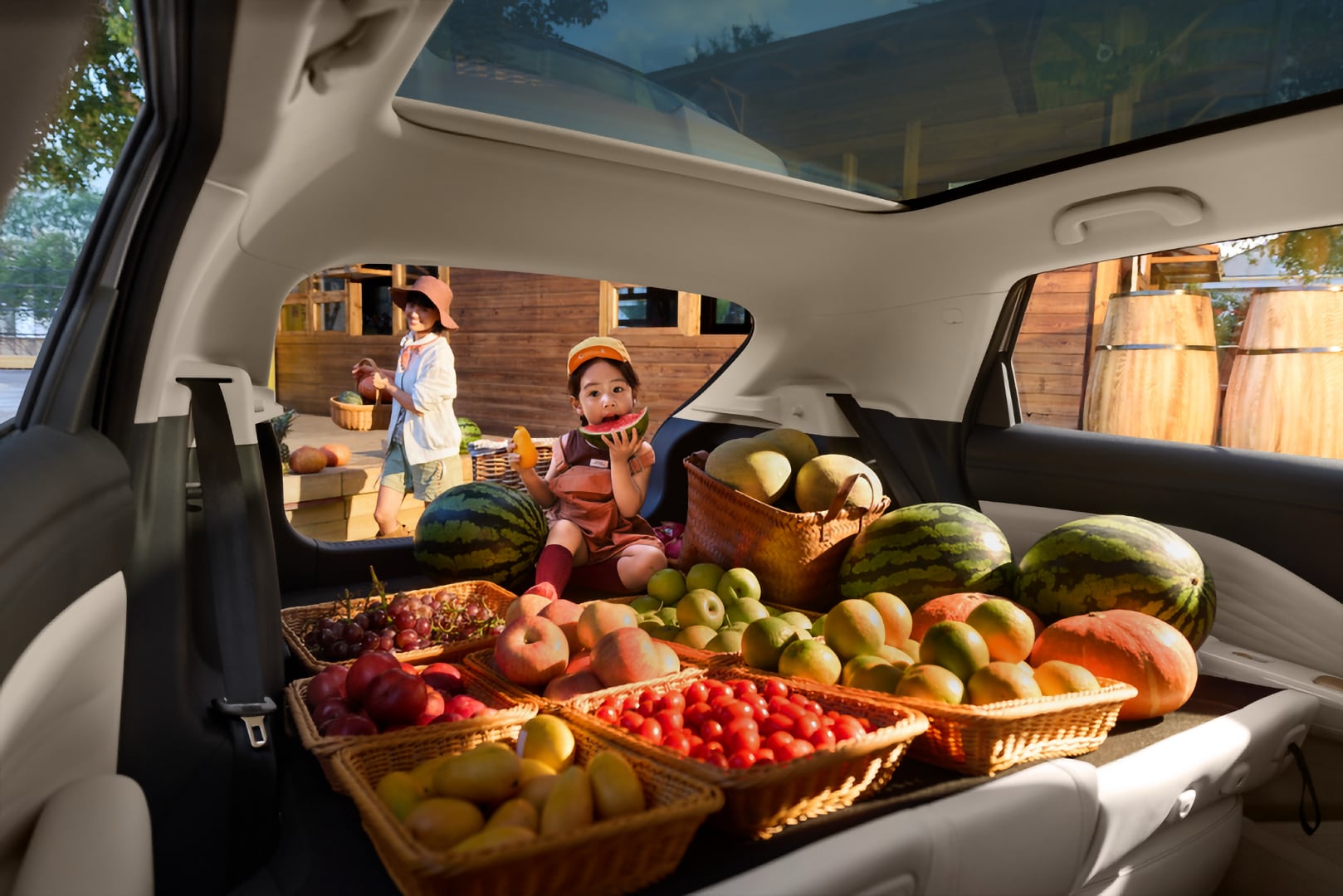 628万起！“家庭精品纯电新标杆”极狐T1上市(图4)