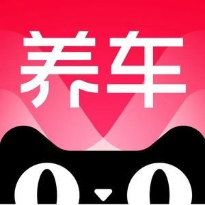 十大汽车养车连锁品牌(膜范先生天猫养车京东三足鼎力)(图2)