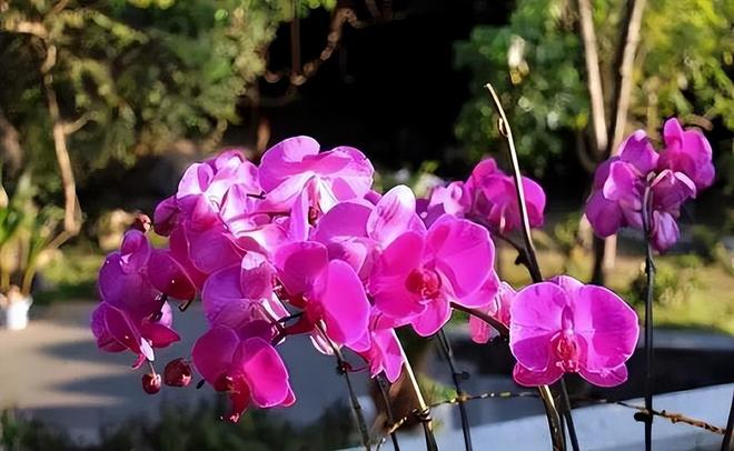 穷人内卷富人外卷(图3)