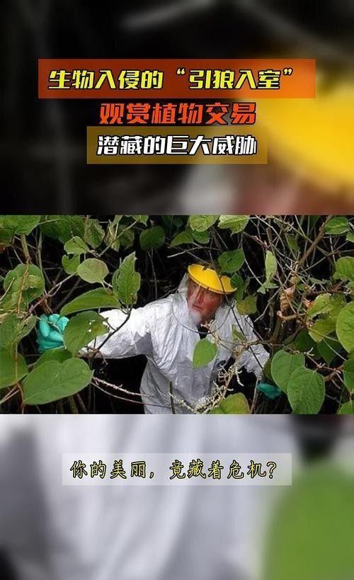 海关截获美国“特工蚊”多种病毒最快7天发作又来祸害中国?(图4)