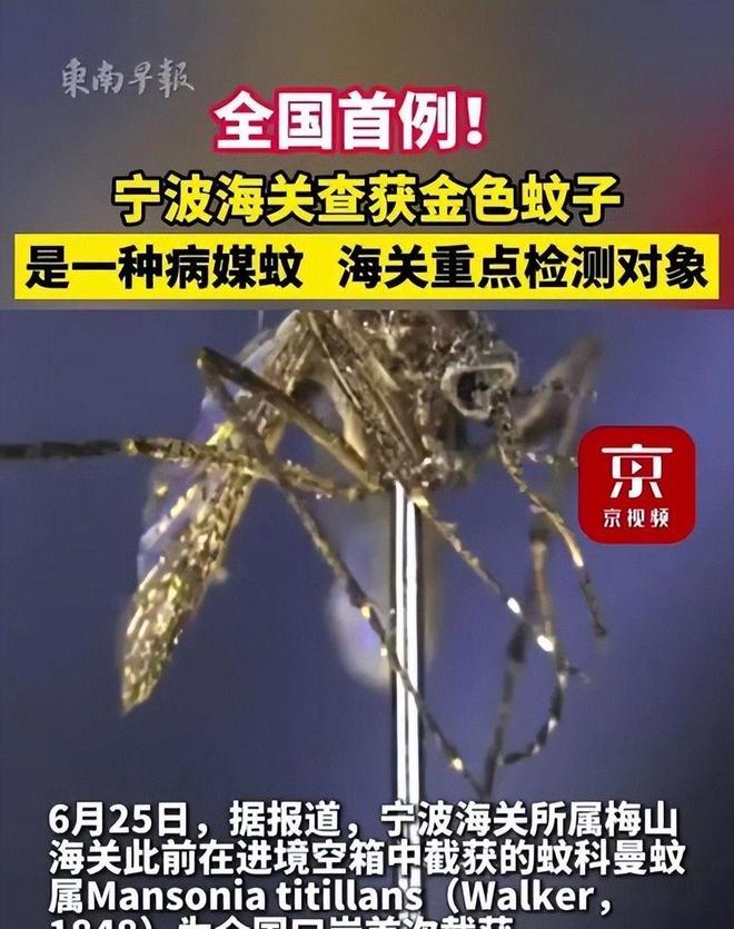 海关截获美国“特工蚊”多种病毒最快7天发作又来祸害中国?(图9)