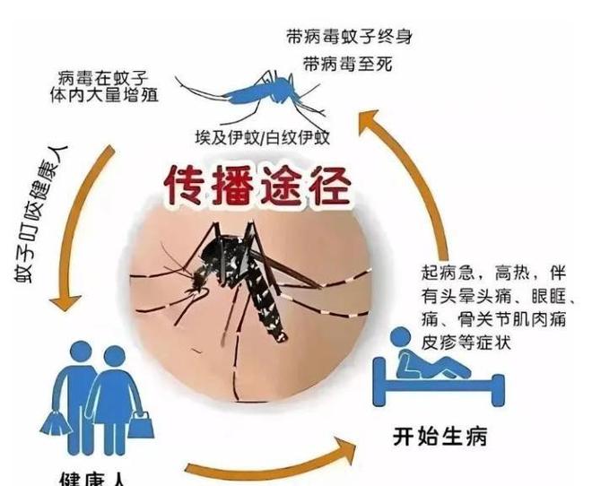 海关截获美国“特工蚊”多种病毒最快7天发作又来祸害中国?(图12)