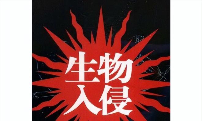 海关截获美国“特工蚊”多种病毒最快7天发作又来祸害中国?(图2)