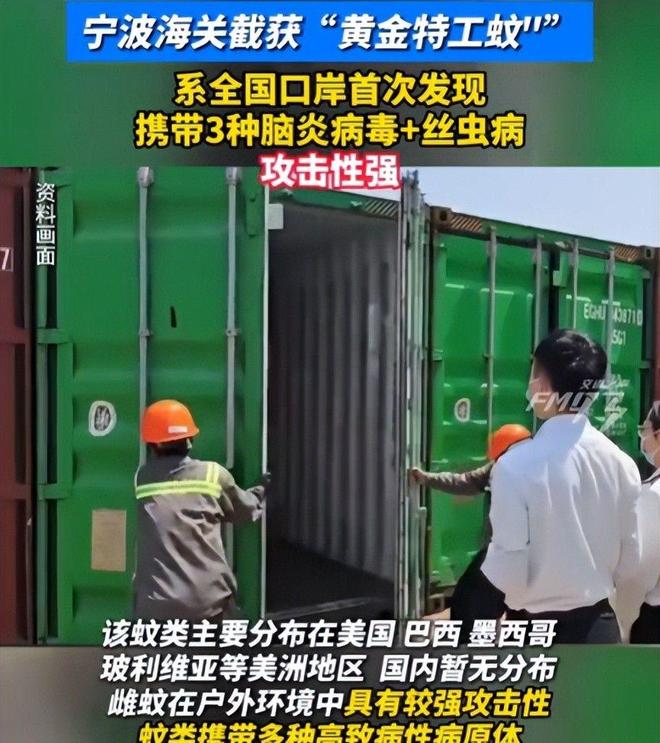 海关截获美国“特工蚊”多种病毒最快7天发作又来祸害中国?(图14)