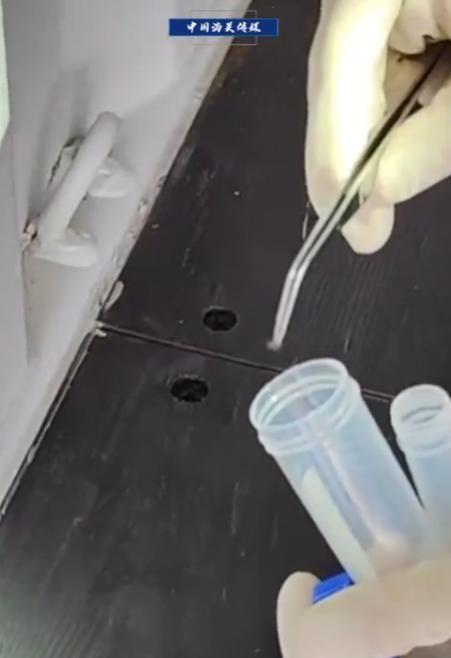 海关截获美国“特工蚊”多种病毒最快7天发作又来祸害中国?(图20)