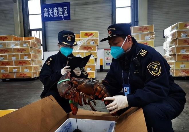 海关截获美国“特工蚊”多种病毒最快7天发作又来祸害中国?(图19)