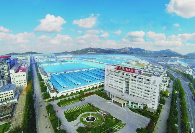 万水千山不忘来时路——玲珑轮胎50年奋斗史诗(图7)