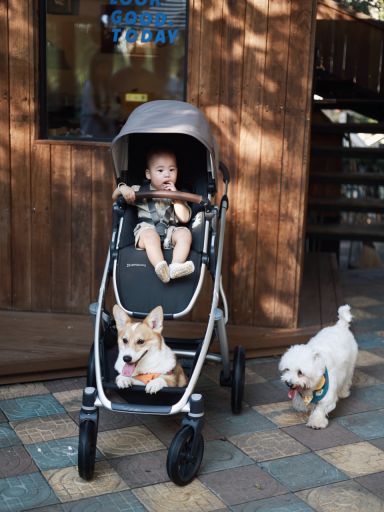 2025多孩家庭婴儿车推荐|VISTAV3:模块化设计的移动育儿中心(图4)