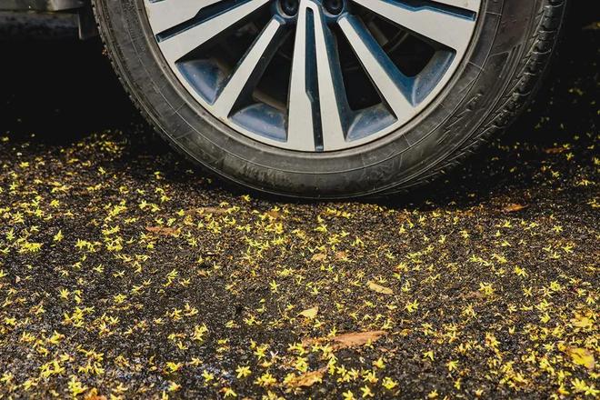 轮胎召回与技术创新：解析硫化与刻印问题(图2)